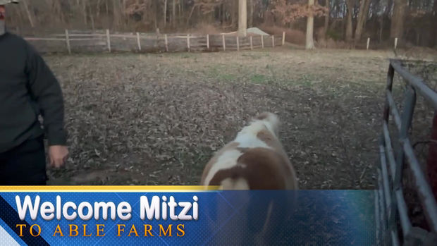 Mitzi